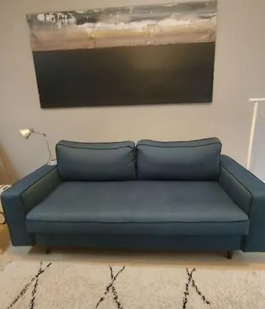 Διαμέρισμα Joli Dans Maison De Maitre *